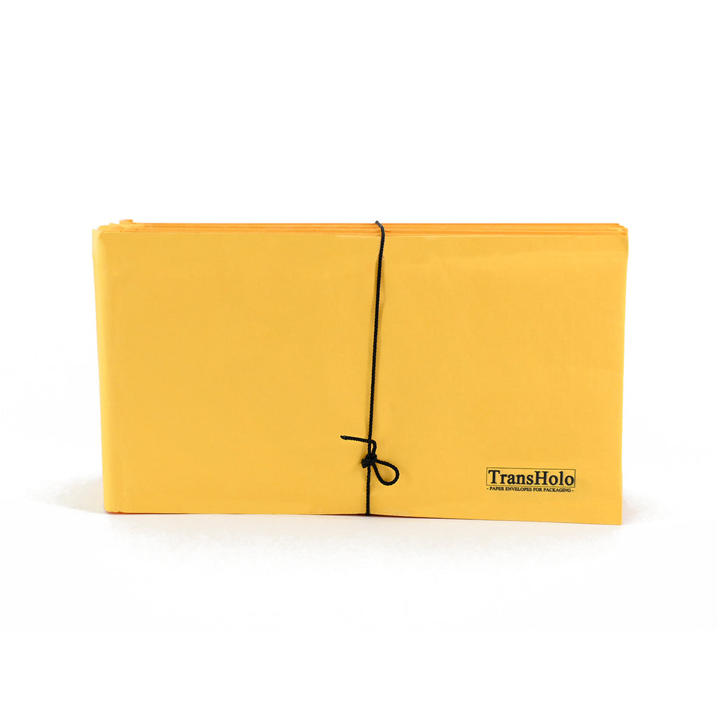 TransHolo Paper Envelopes for Packaging