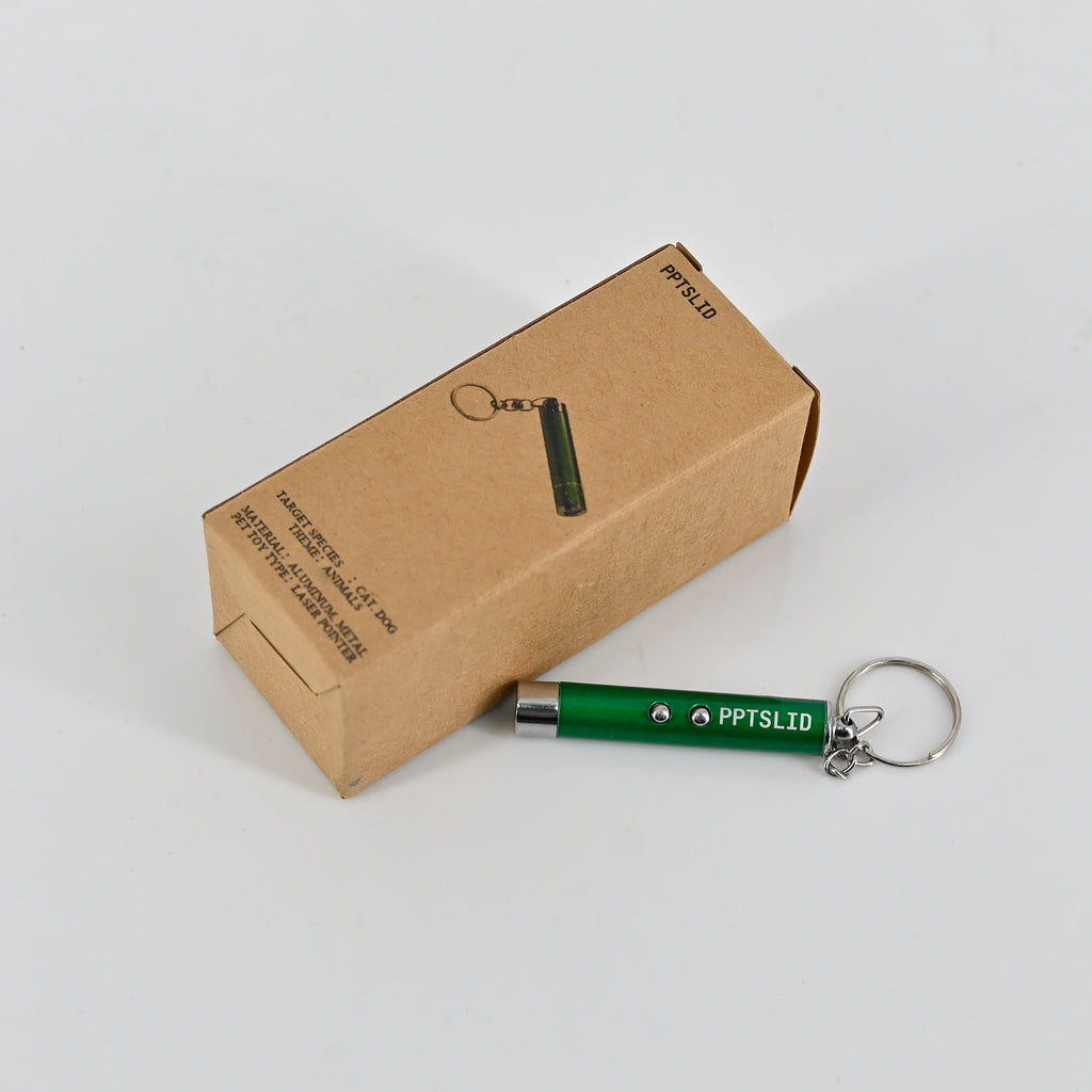 PPTSLID Laser Pointer Long Range Interactive Pointer